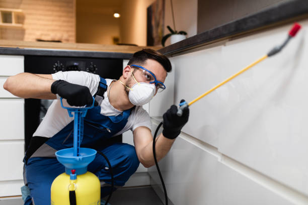Best Best Pest Control Companies  in Hailey, ID