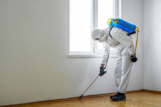 Best Commercial Pest Control Services  in Hailey, ID