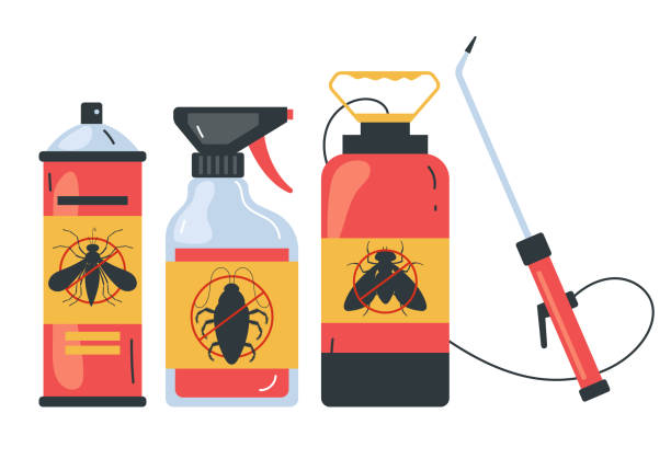 Best Insect Control  in Hailey, ID